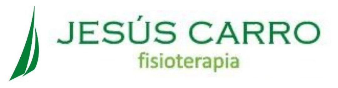 Jesús Carro Fisioterapeuta
